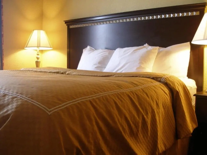 Quadruple Suite
