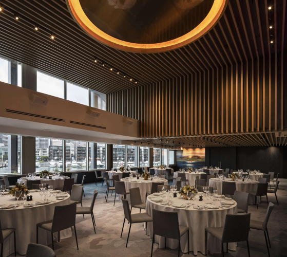Park Hyatt Auckland photo 26