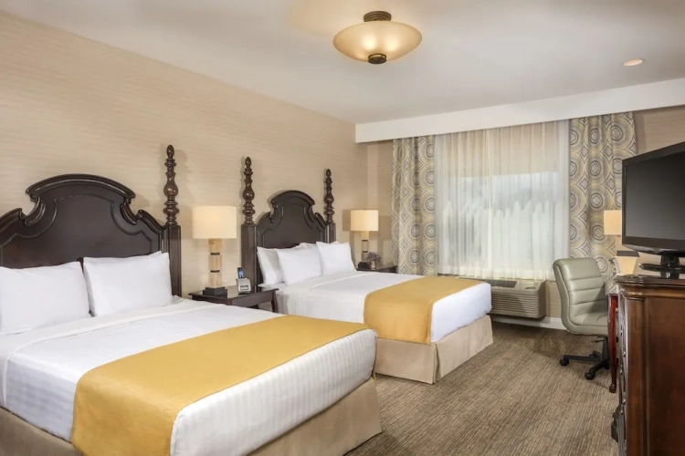 Quadruple Basement Suite