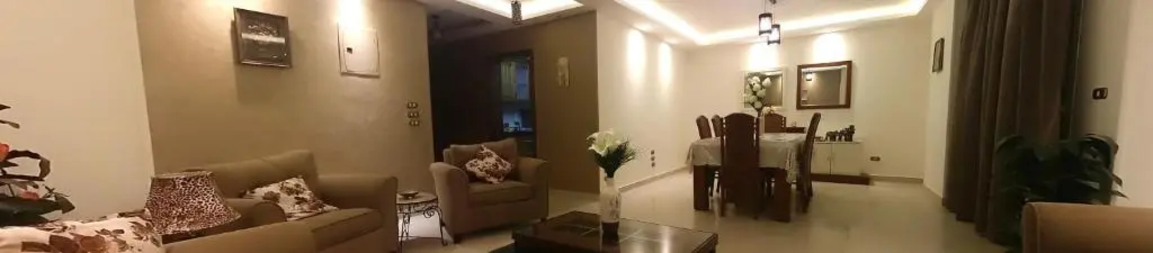 Luxury Furnished Apartment