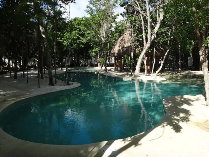Tropical Paradise Apartment