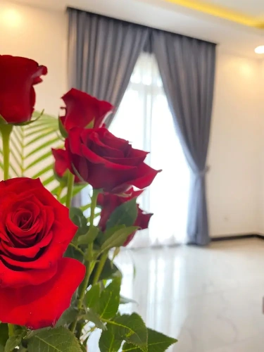 1 Bedroom Deluxe Double room
