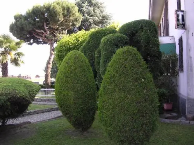 Cerruti Hotel