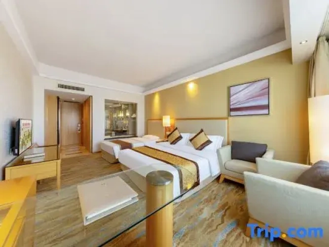 Deluxe Single Family room