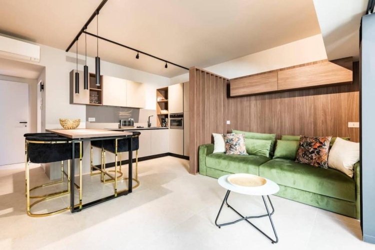 1 Bedroom Apartment