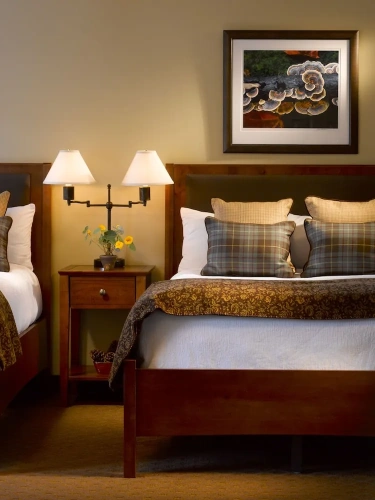 1 Bedroom Quadruple Suite
