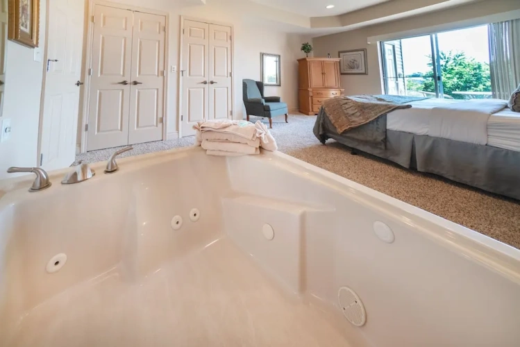 1 Bedroom Suite with view