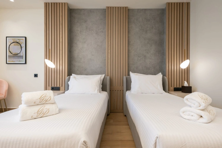 Deluxe Twin room