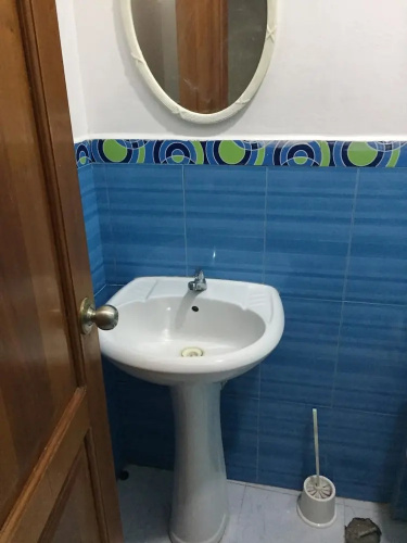 Selva Viva
