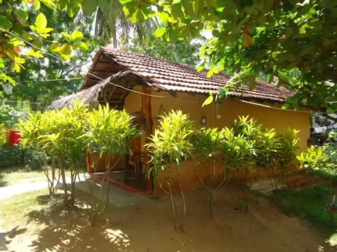 Economy Double room beachfront