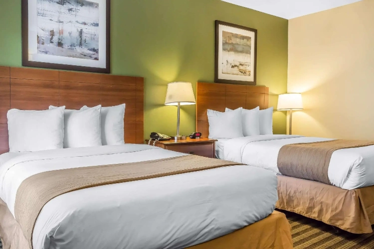 Standard Quadruple room