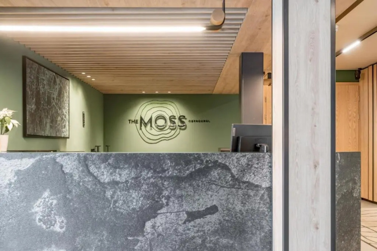 The Moss - Your unique hideaway