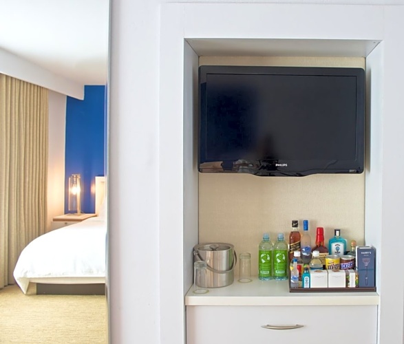 1 Bedroom Suite