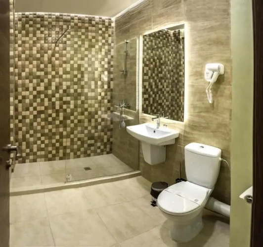 Deluxe Twin room with city view