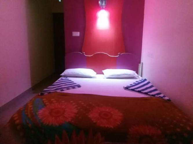 Jungleparadiso hostel