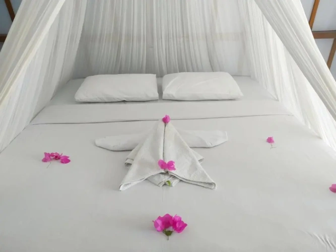 Standard Double room with sea view