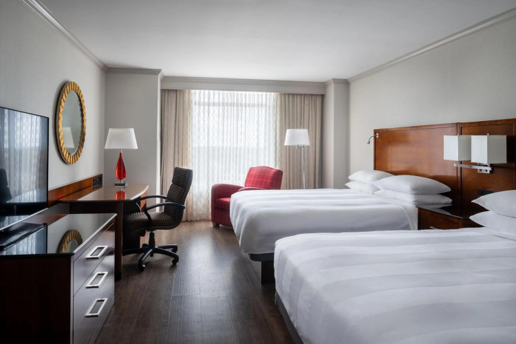 St. Petersburg Marriott Clearwater photo 8