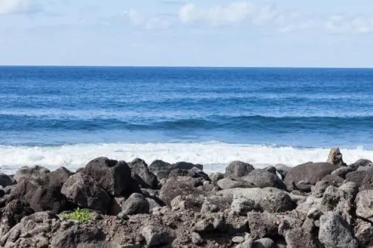 Ocean Breeze