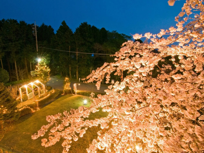 IzuKogen Petit Resort Hotel Alcyon