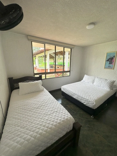 Standard Triple Basement room with pool view