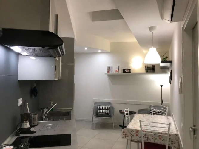 Basement Apartment