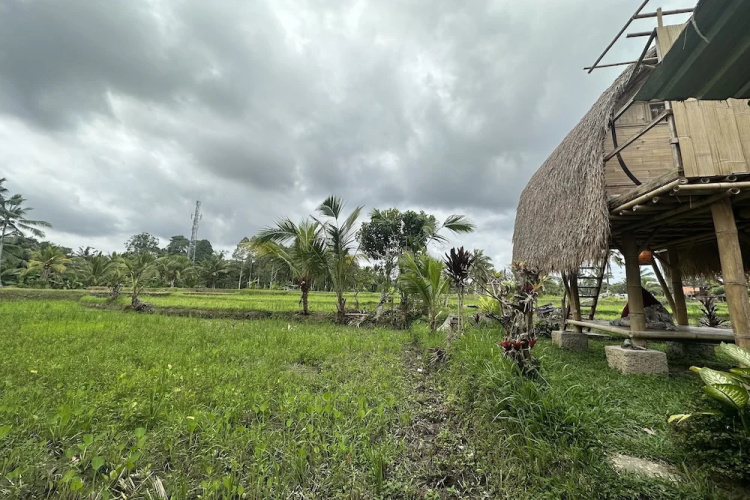 Tiny ECO Bamboo Ubud