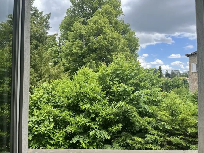 Standard Double room with garden view