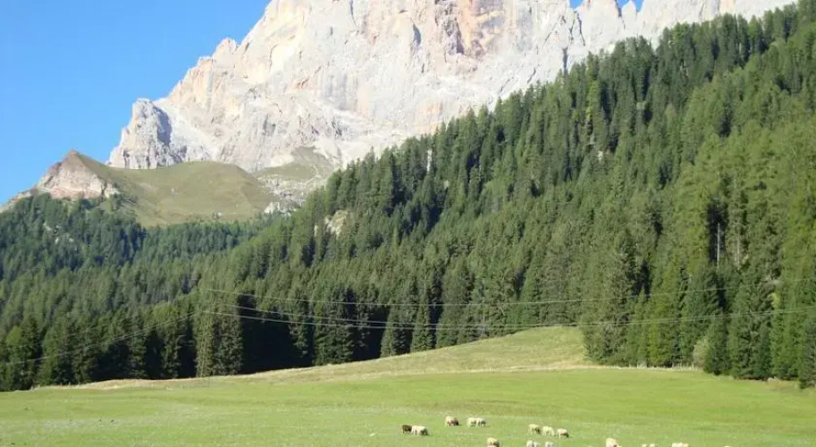 Maso Col