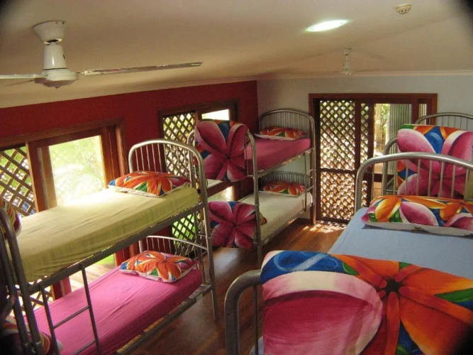 Bed in Dorm