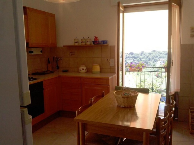 Apartment with garden view