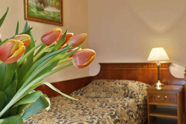 Classic Single room