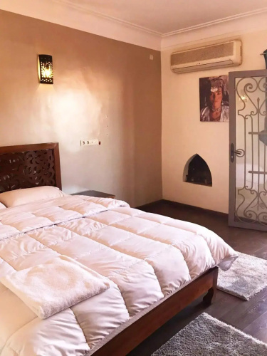 Safran flat with 2 large terraces Central Location