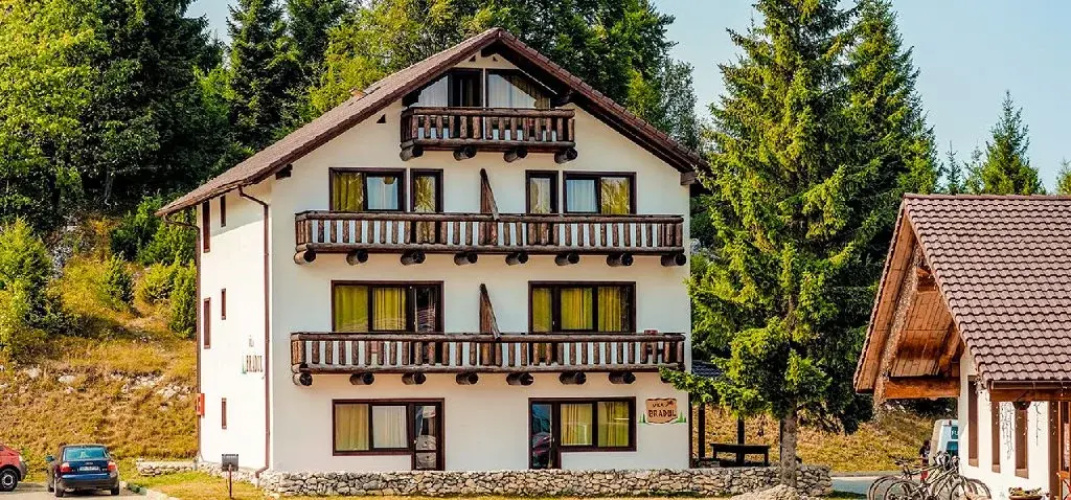 Vila Bradul - Complex Cheile Gradistei
