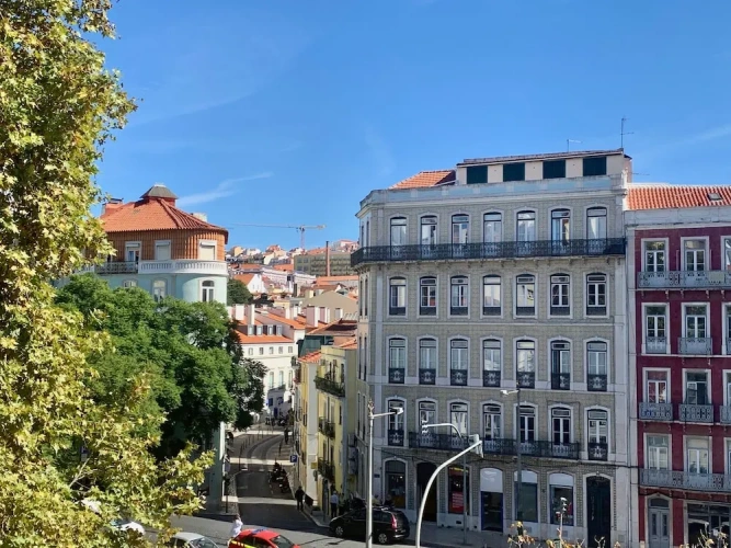 1 Bedroom Comfort Apartment