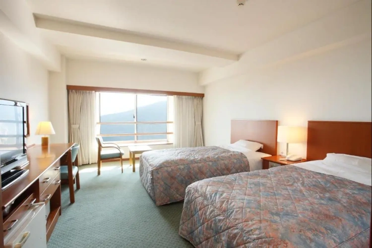 Standard Double room with view