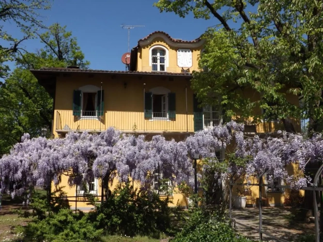 Standard Double room with garden view