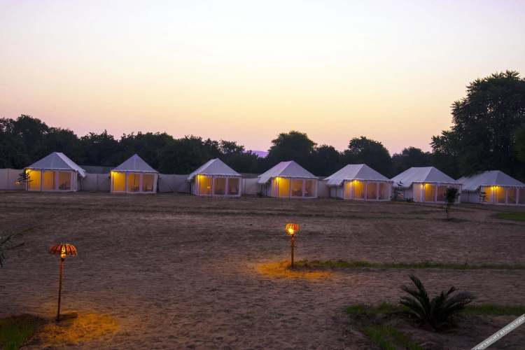 Royal Safari Camp