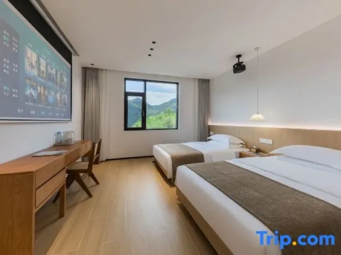 Standard Double room with mountain view