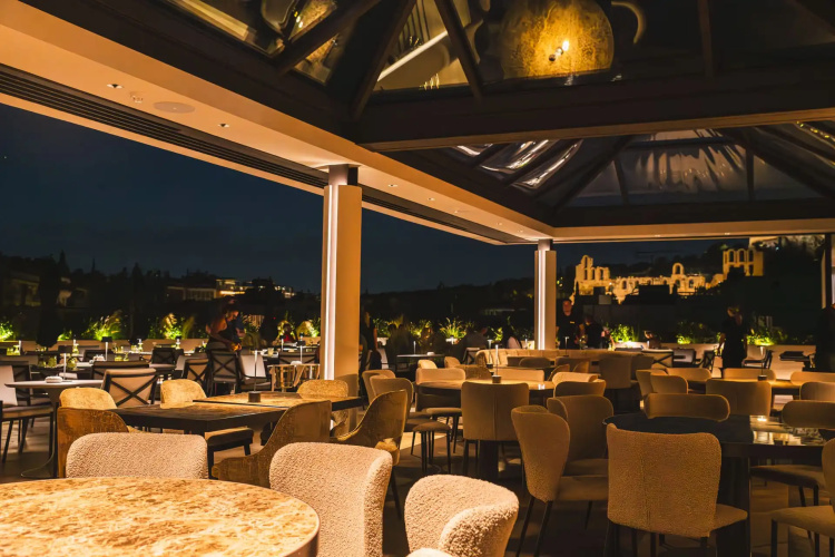 Divani Palace Acropolis photo 17