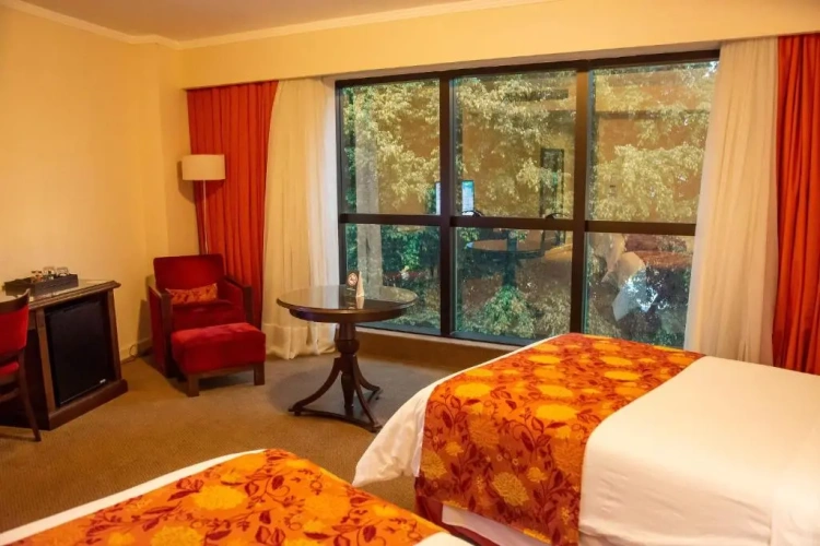 Executive Twin room