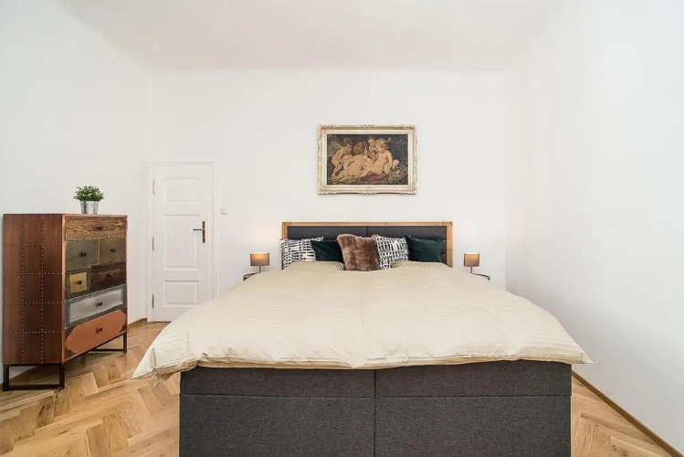 Unique Apt 250m from the Charles Bridge