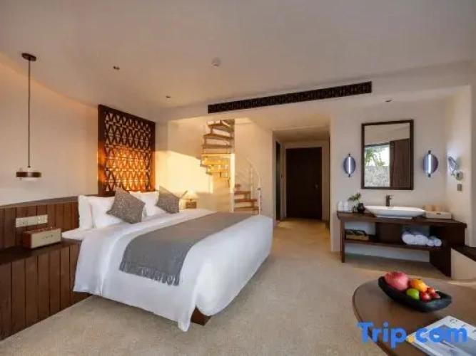 Duplex Suite with view