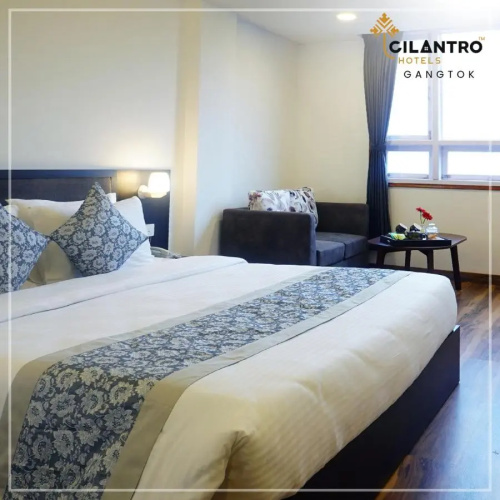 Cilantro Comfort