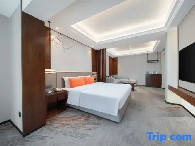 Standard Double room with city view