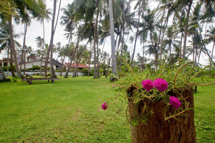 Sisanda Residence