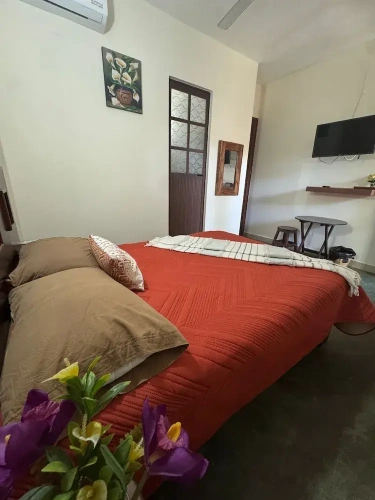 Comfort Studio