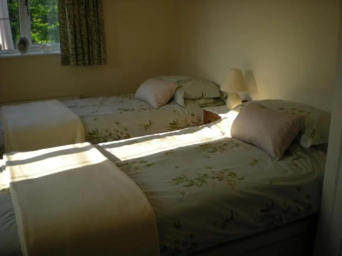 Deluxe Double room with garden view