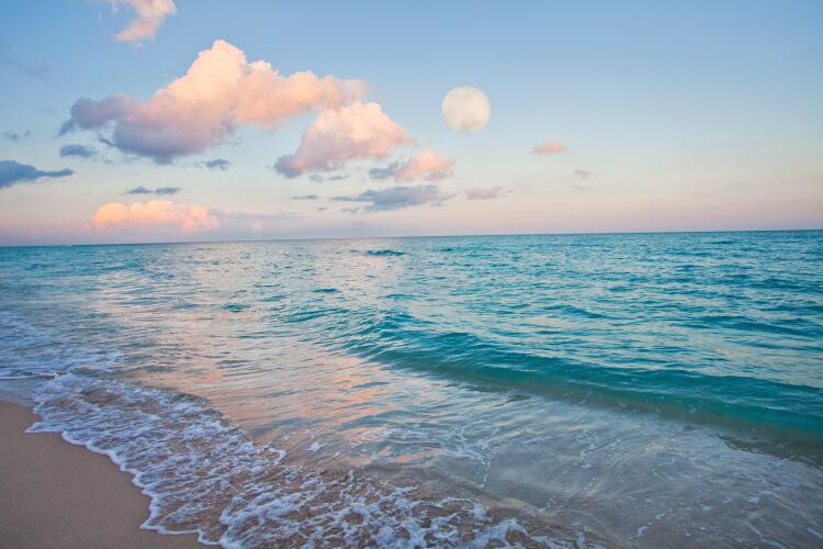 Imagen de Holiday Inn Miami Beach   Oceanfront, An Ihg Hotel