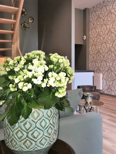 Duplex Apartment