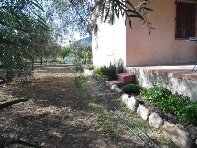 1 Bedroom Cottage